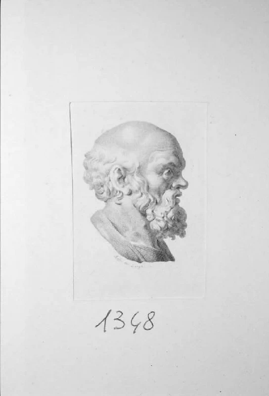 Ritratto di Socrate - Pinacoteca Repossi, Chiari